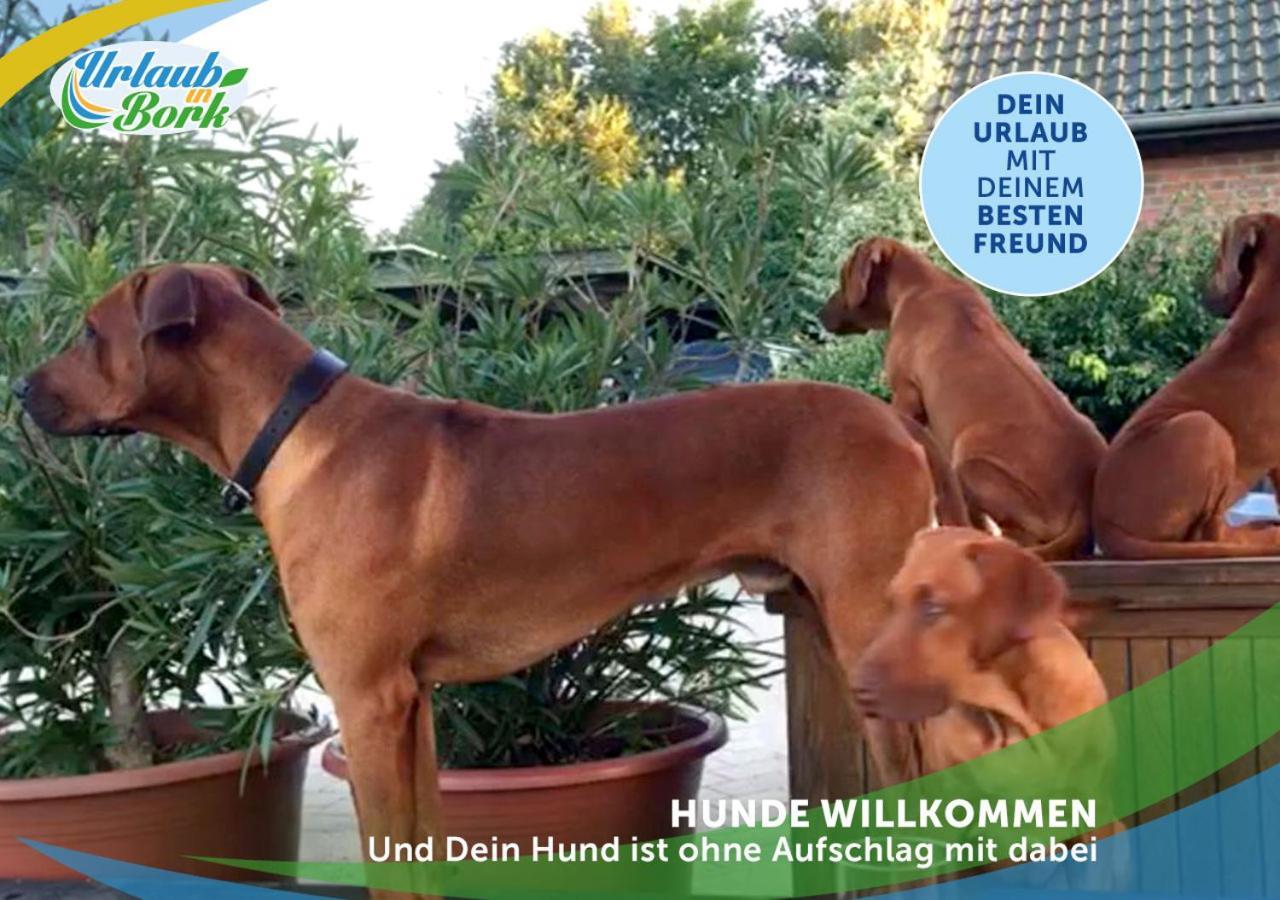 Jagd-Angler-Suite-04-Im-Wald-Am-See كيريتز المظهر الخارجي الصورة