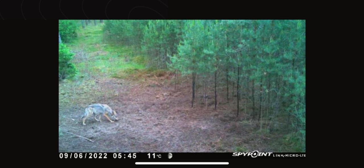 Jagd-Angler-Suite-04-Im-Wald-Am-See كيريتز المظهر الخارجي الصورة